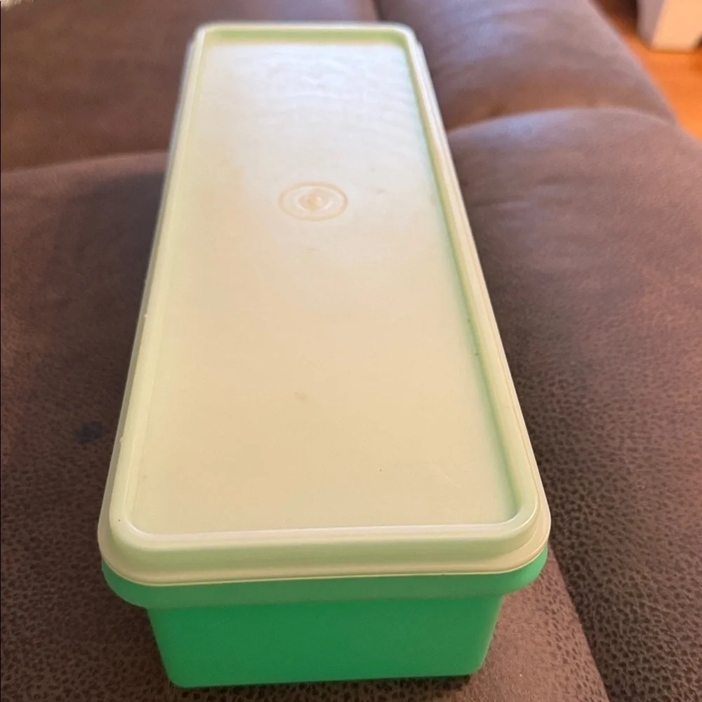 Vintage Tupperware Celery/Veggie Keeper Crisper
